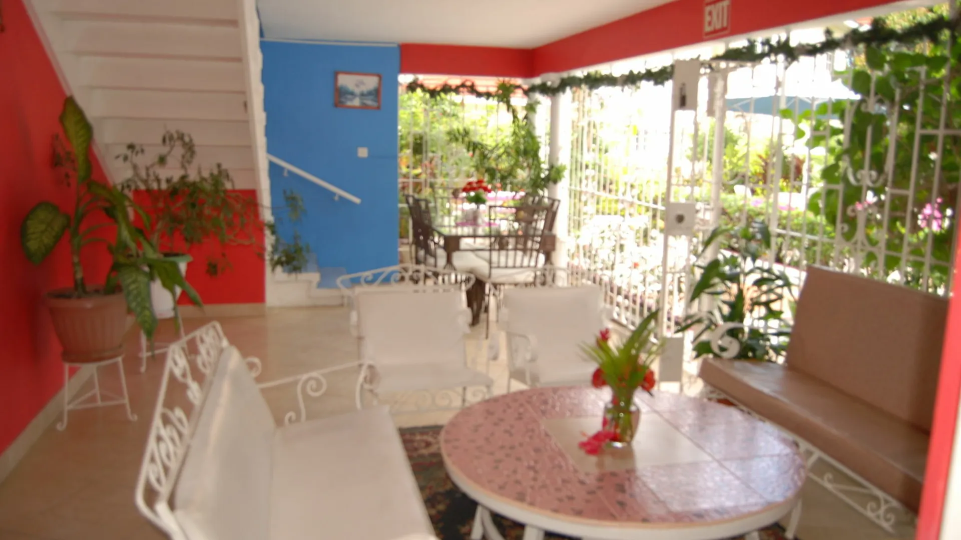 מונטגו ביי Pinkhibiscus Guest House מונטגו ביי